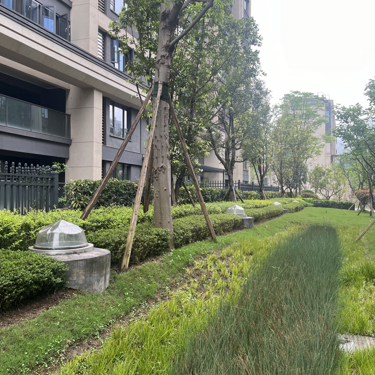 重庆鹿角.jpg